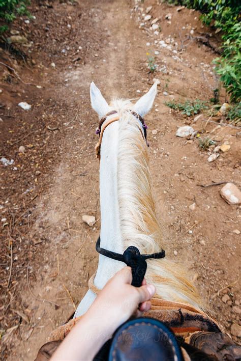 Free Shemale Riding Pov Porn Videos .